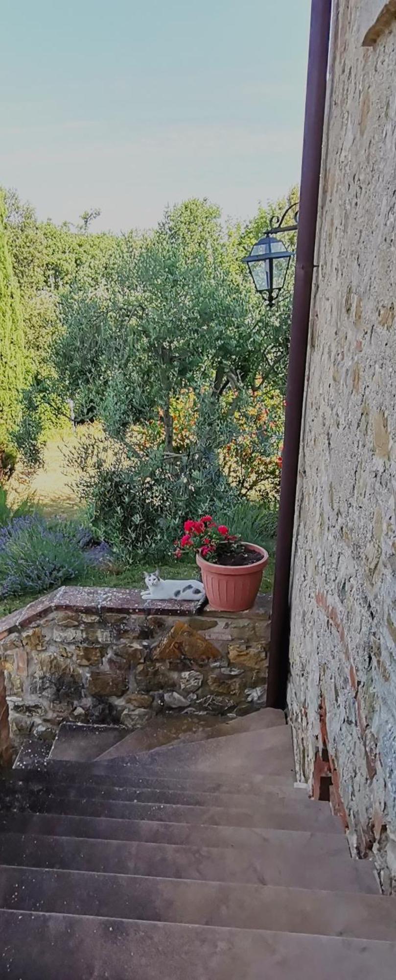 Villa Borgo Mulignone Casole dʼElsa Camera foto